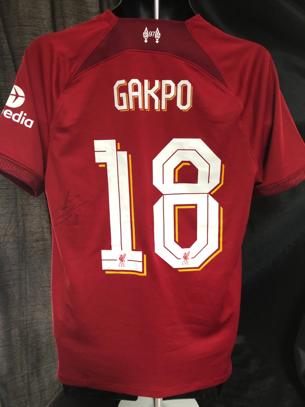 Cody Gakpo Signed Shirt for sale on Ebay