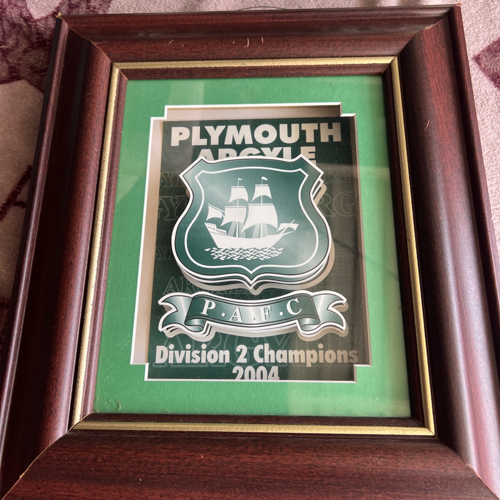 Plymouth Argyle Football Club. Division two champions 2004. for sale on Ebay