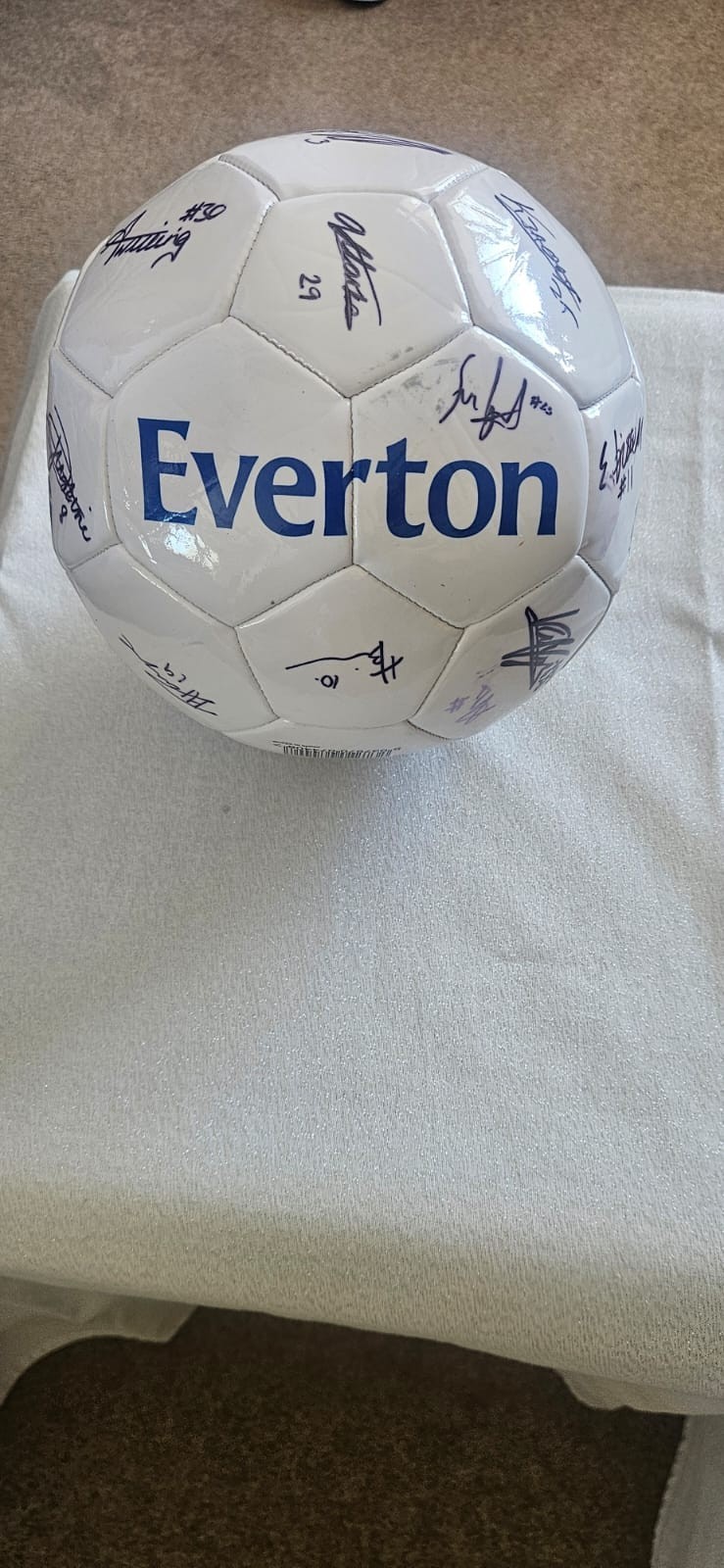 Everton Football Signed By The Ladies Team for sale on Ebay