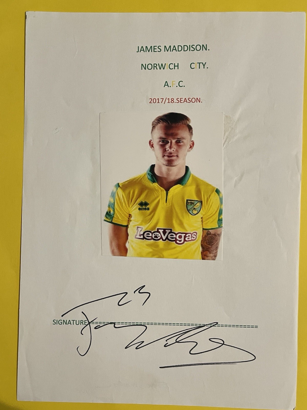 James Maddison- Norwich City Fc Signed Picture for sale on Ebay