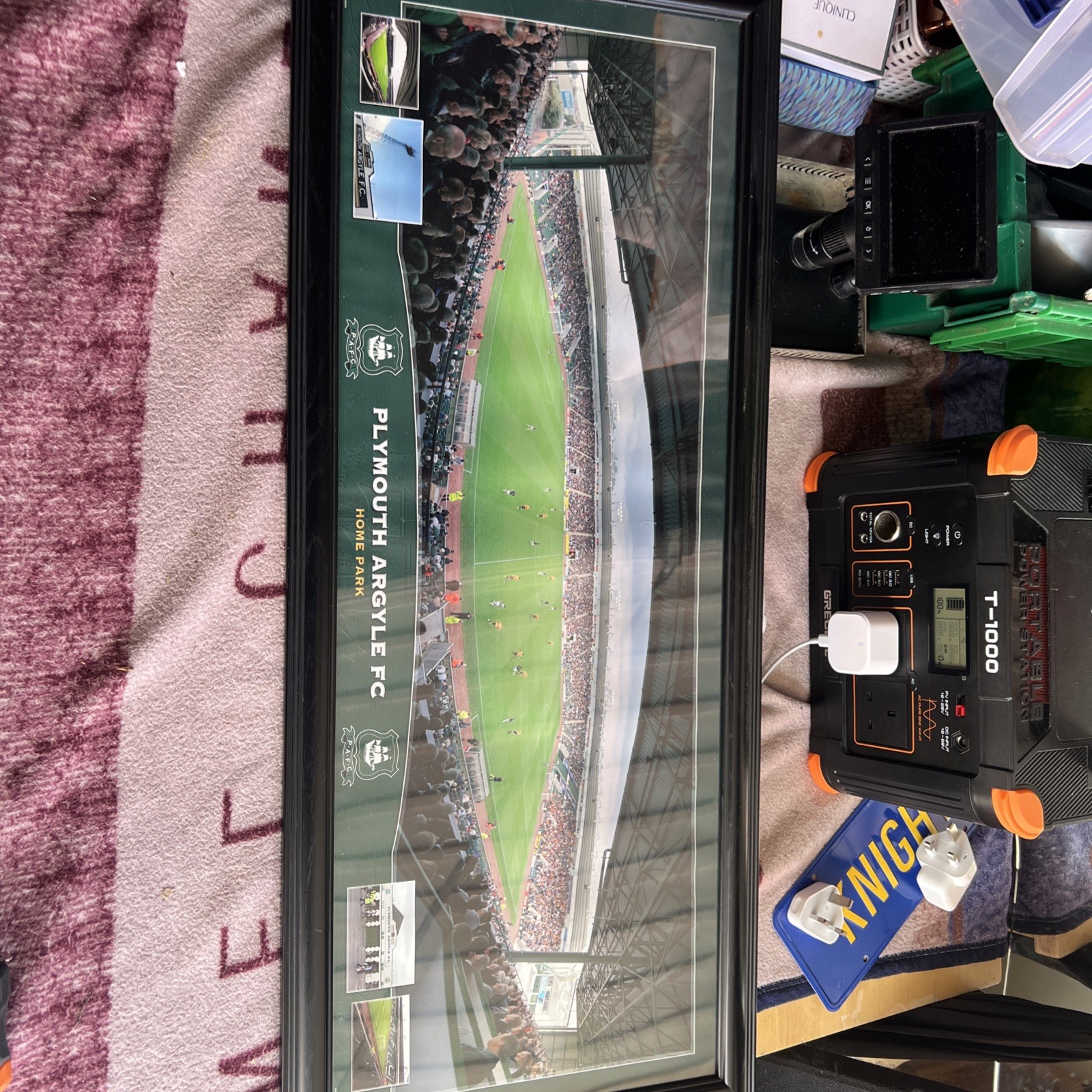 Plymouth Argyle FC Home Park Stadium Pitch for sale on Ebay