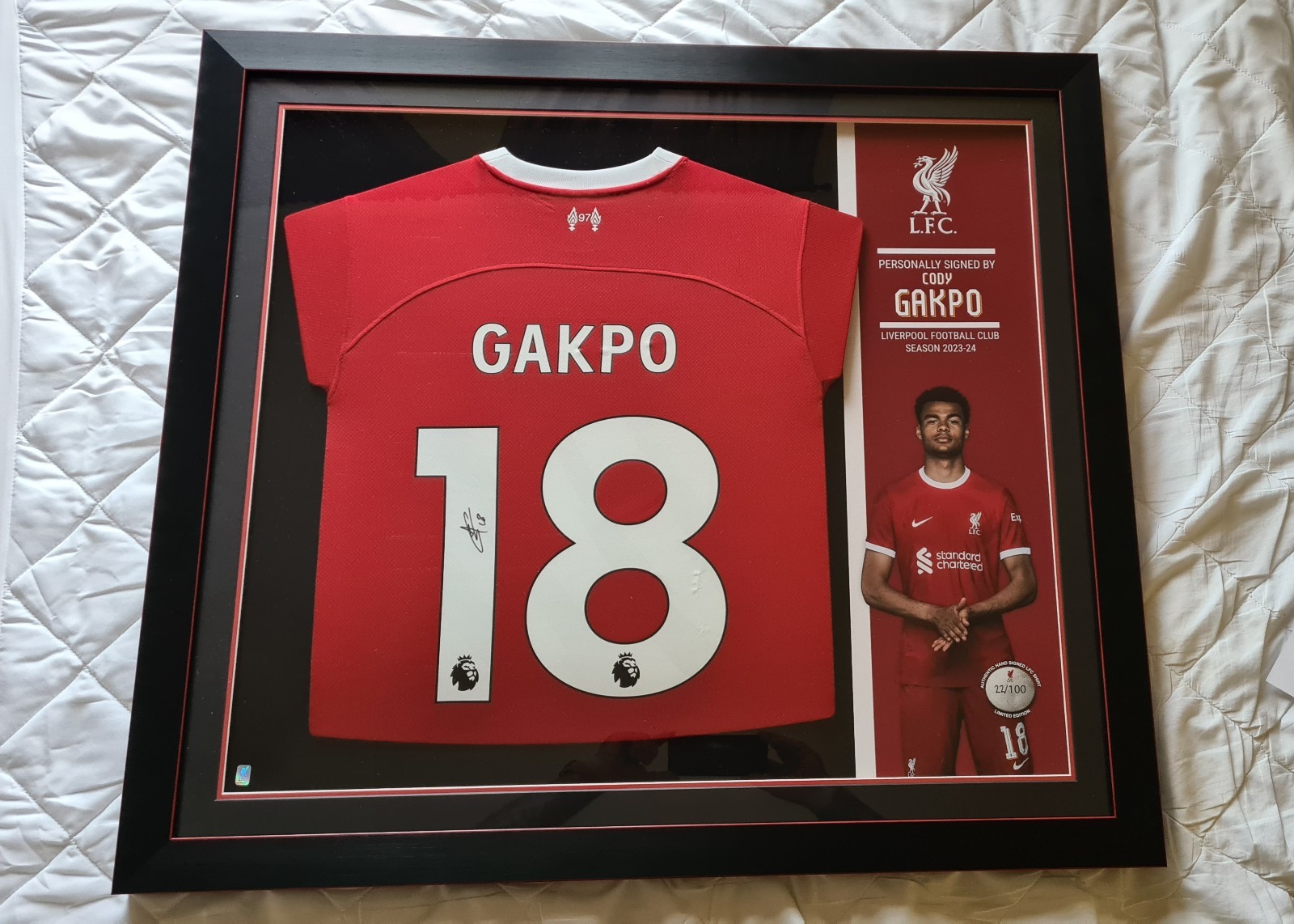 Cody Gakpo Liverpool Framed Signed Shirt. Club COA. FREE DELIVERY. for sale on Ebay