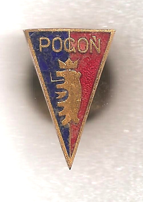 Pin Badge Abzeichen - POLAND - POLSKA - 5 - Pogon Szczecin - Back: 685 for sale on Ebay