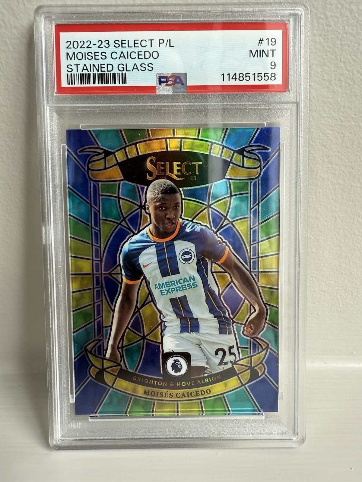 Panini Select Stained Glass Moises Caicedo PSA 9 Case Hit Brighton/Chelsea for sale on Ebay