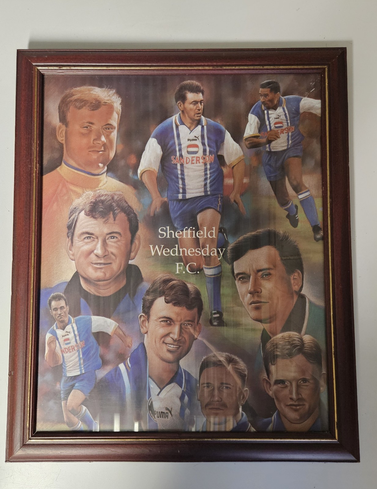 Sheffield Wednesday FC Memorabilia Print 1995/96 for sale on Ebay