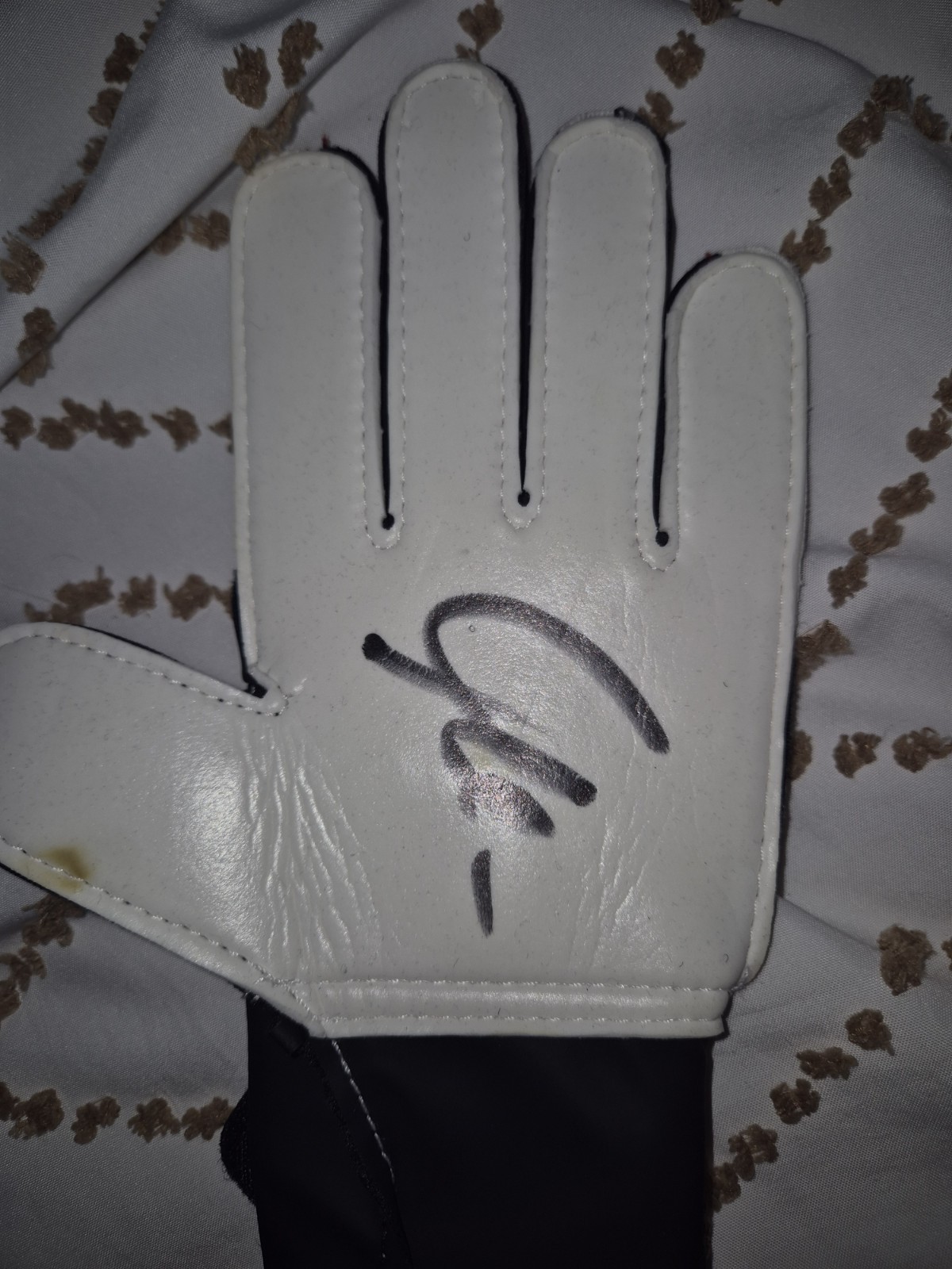 Artur Boruc Signed Gk Glove Celtic Poland With Proof for sale on Ebay