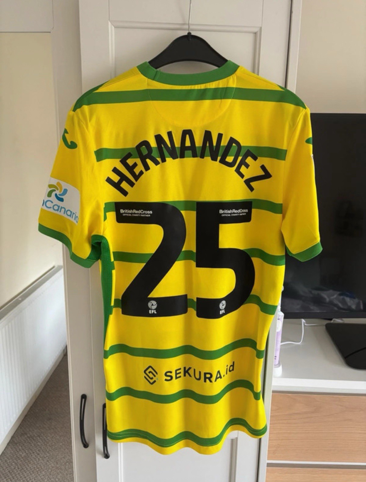 Norwich City Football Club Player Issue Shirt Onel Hernandez 25 Medium for sale on Ebay
