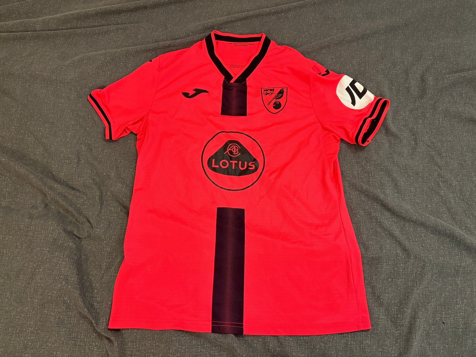Norwich City 2021/22 Shirt [Size L] for sale on Ebay
