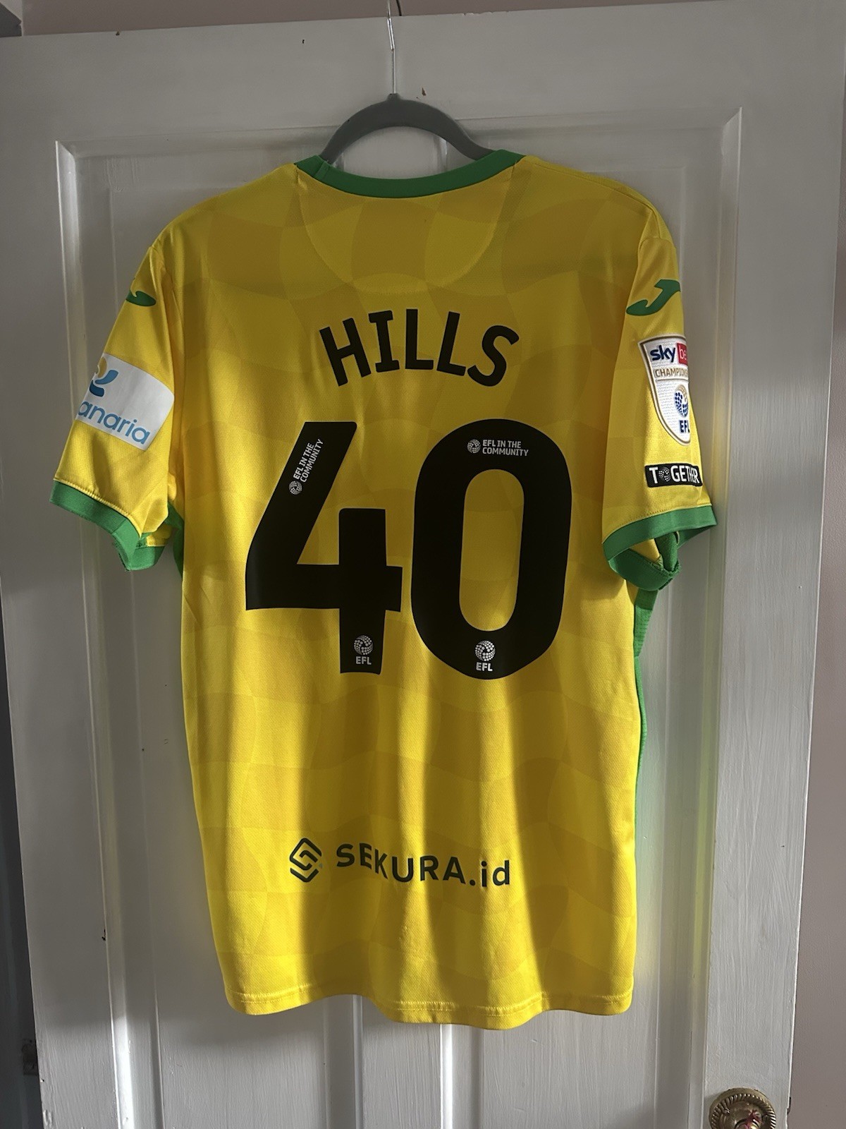 Brad Hills Player Issue Norwich City Football Club Home Shirt 24/25 Season for sale on Ebay