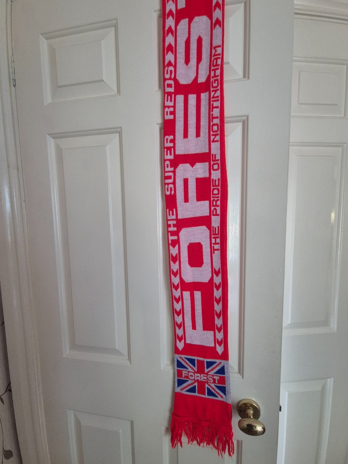Nottingham Forest Super Reds Pride of Nottingham 90s Retro Scard for sale on Ebay