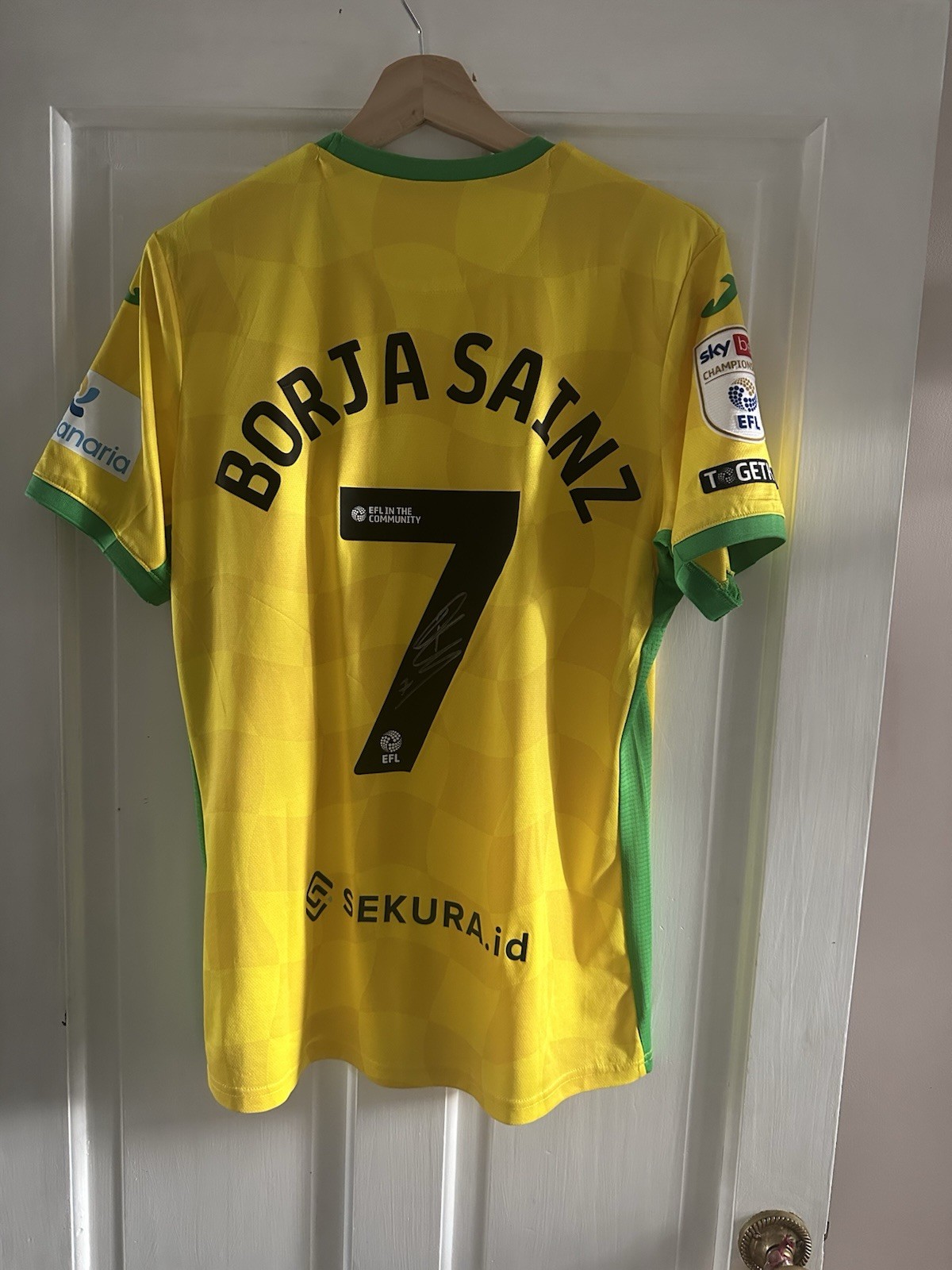 Borja Sainz Signed Norwich City Football Club Home Shirt 24/25 Season for sale on Ebay