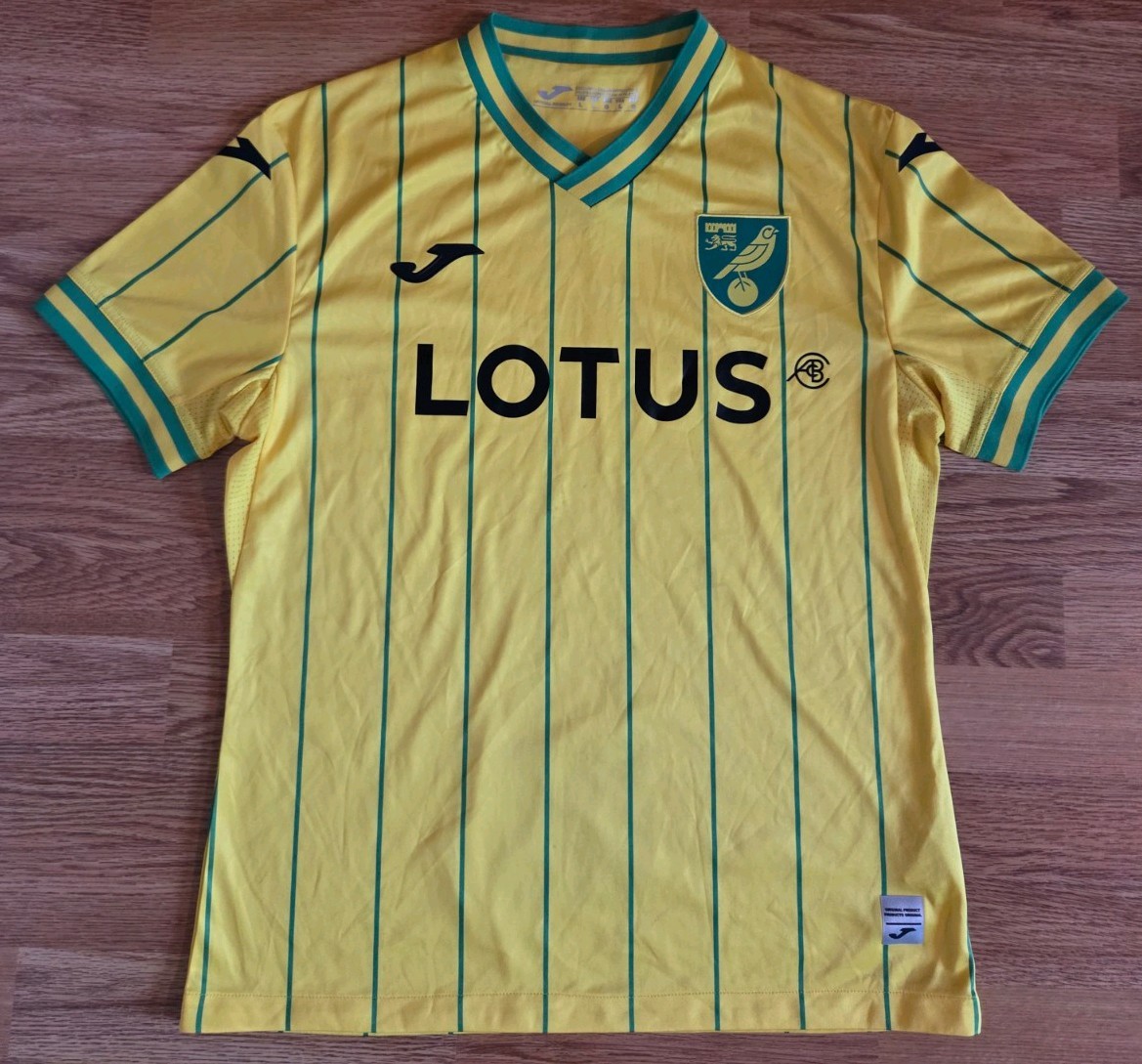 Norwich City 2022/2023 Home Football Shirt- Joma- Size L for sale on Ebay