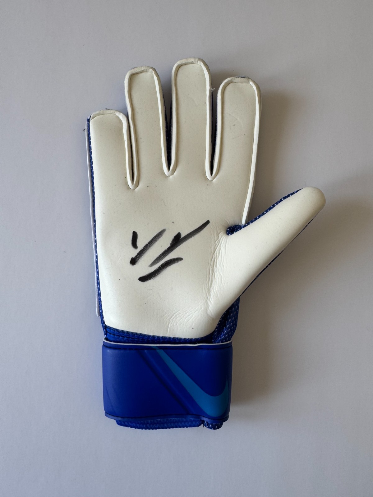 Signed WALTER BENITEZ Shirt -Goalkeeper Glove-PROOF/COA-Crystal Palace Argentina for sale on Ebay