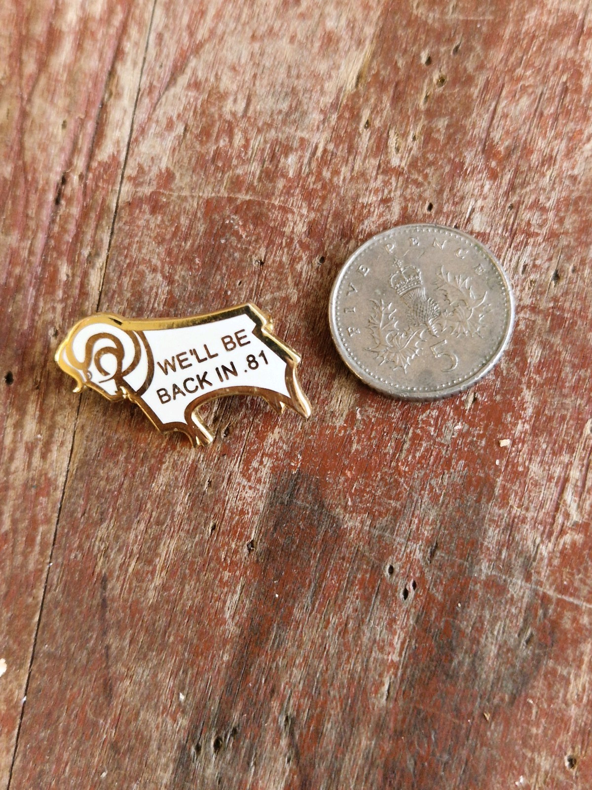DERBY COUNTY  F C - VINTAGE WE'LL BE BACK 81 COLLECTABLE  FOOTBALL Pin BADGE for sale on Ebay