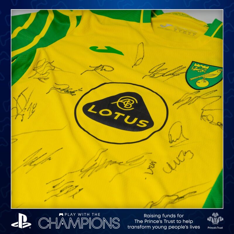 Signed by full team - Norwich City F.C. Shirt Season 20-21 for sale on Ebay