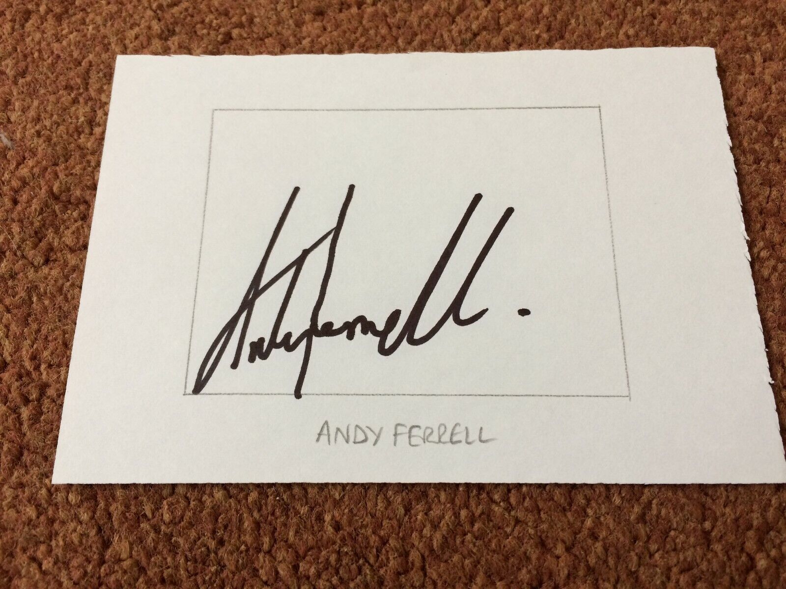 Andy Ferrell - Watford, Hereford, Kidderminster, York for sale on Ebay