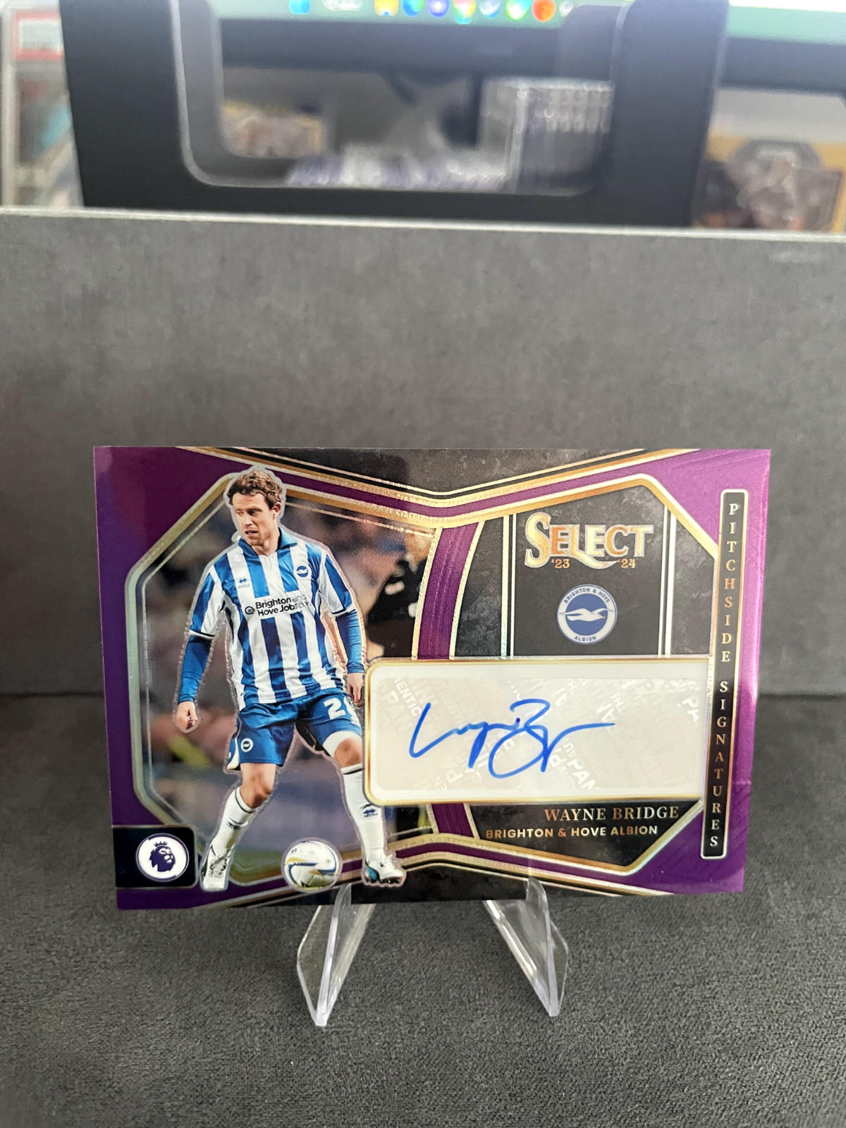 2023/24 Panini Select Wayne Bridge autograph /49 Brighton for sale on Ebay
