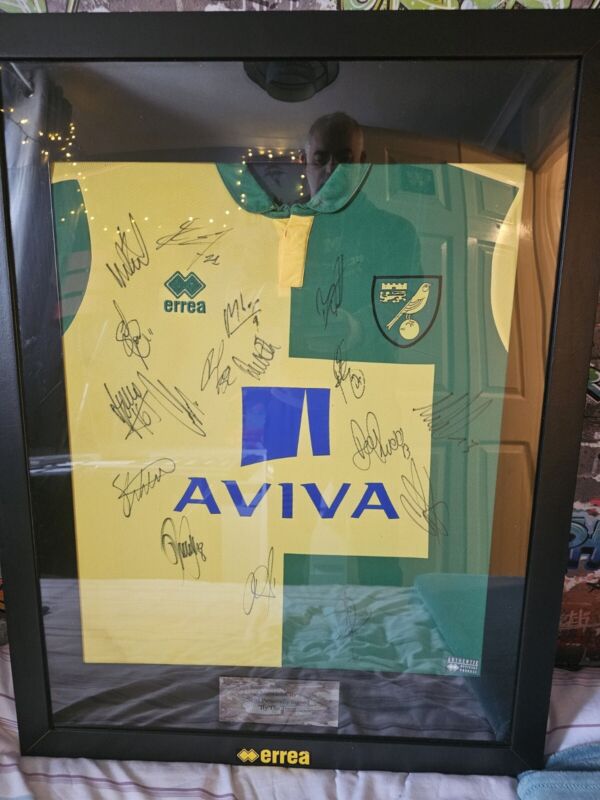 Norwich City Signed Shirt Framed 2015/16 for sale on Ebay