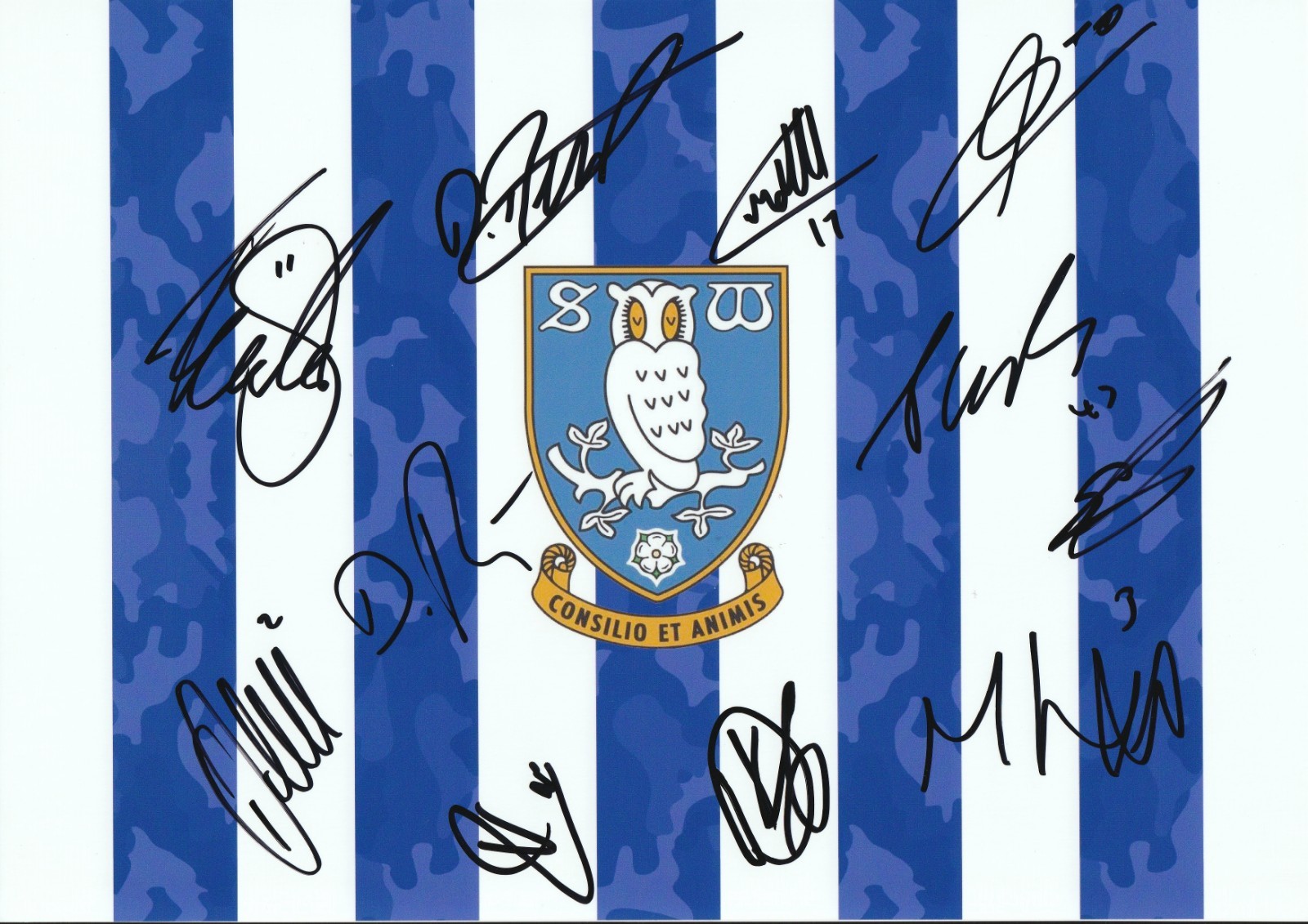 Multi Signed SHEFFIELD WEDNESDAY 24/25 12