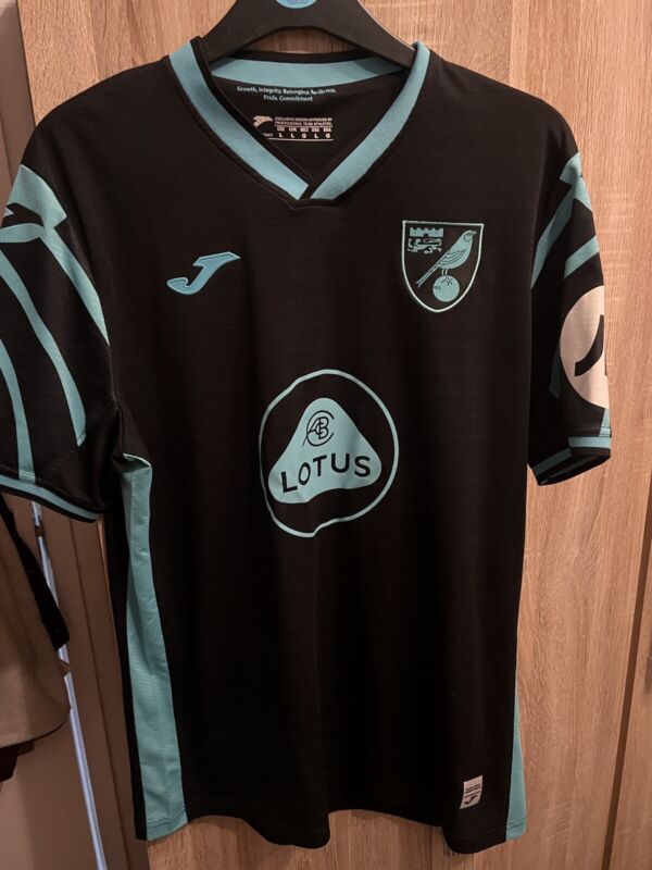 Norwich Away Shirt 21/22 Size Large for sale on Ebay